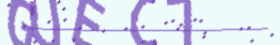 captcha text